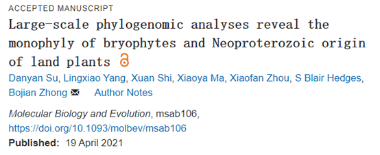 生命科学学院钟伯坚团队在陆地植物起源与演化研究取得重要进展 南京师范大学